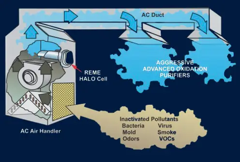 Reme Halo air purification system
